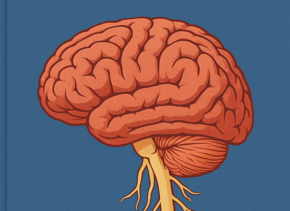 ChatGPT Image Jul 2, 2025, 12_36_26 AM